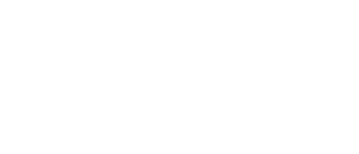 NORDIC logo