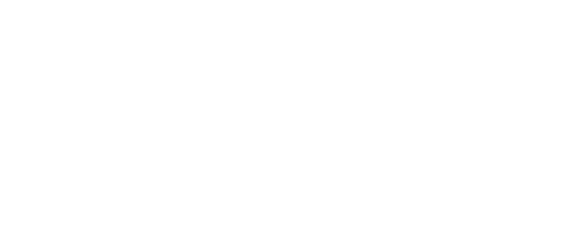 NORDIC logo